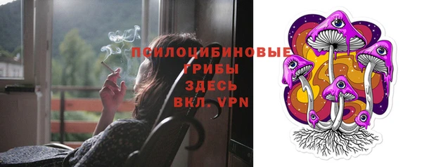 гашик Богородск