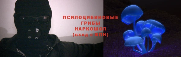ПСИЛОЦИБИНОВЫЕ ГРИБЫ Бородино