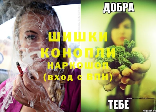 ПСИЛОЦИБИНОВЫЕ ГРИБЫ Бородино