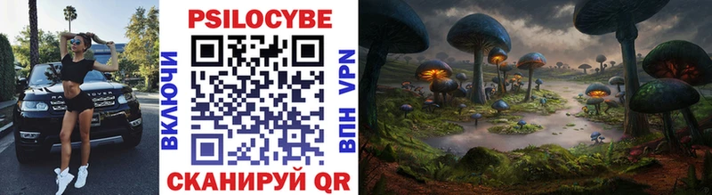Псилоцибиновые грибы Magic Shrooms  где продают наркотики  Медынь 